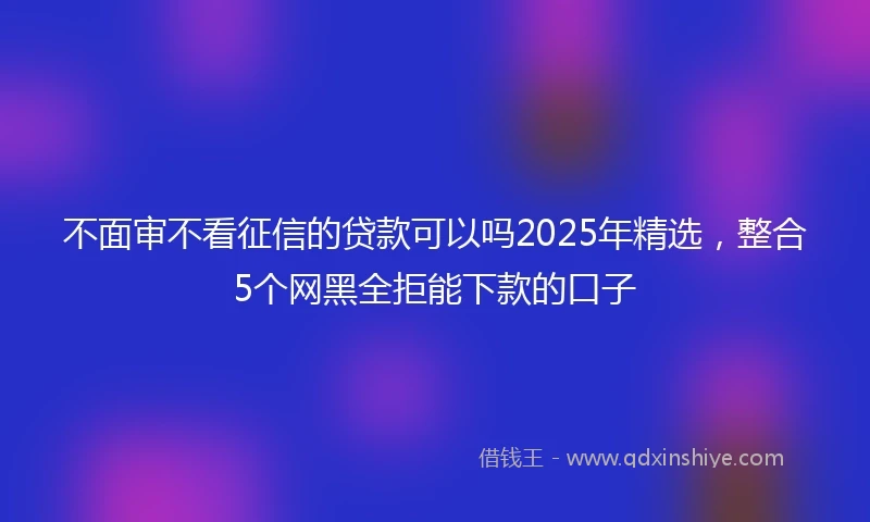 不面审不看征信的贷款可以吗2025年精选，整合5个网黑全拒能下款的口子