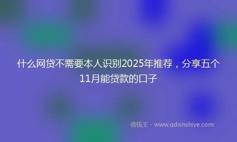 什么网贷不需要本人识别2025年推荐，分享五个11月能贷款的口子