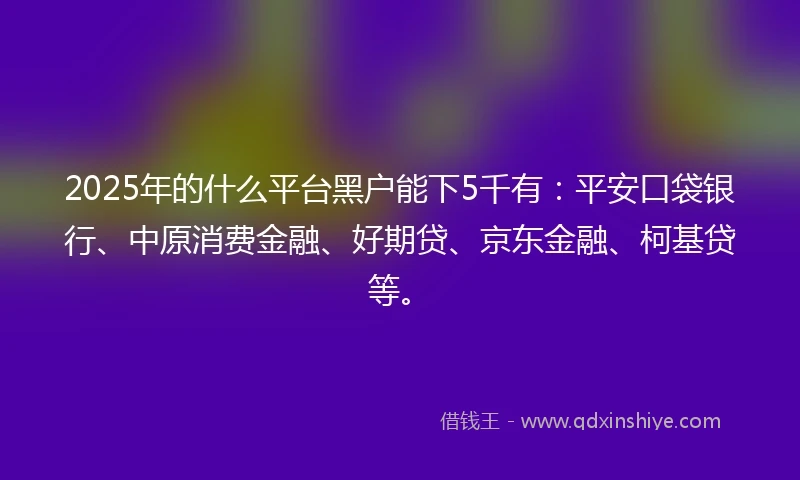2025年的什么平台黑户能下5千有：平安口袋银行、中原消费金融、好期贷、京东金融、柯基贷等。
