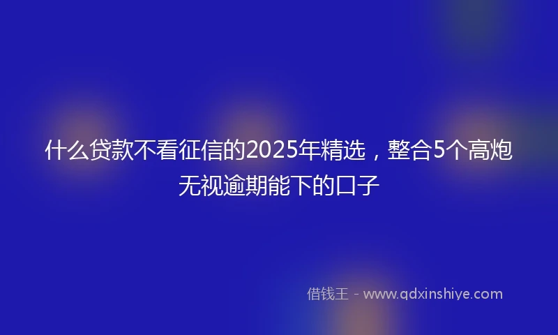 什么贷款不看征信的2025年精选，整合5个高炮无视逾期能下的口子