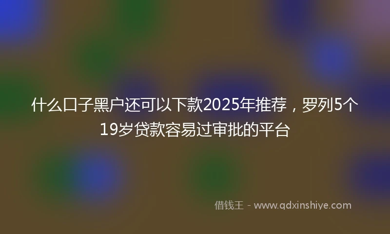 什么口子黑户还可以下款2025年推荐，罗列5个19岁贷款容易过审批的平台