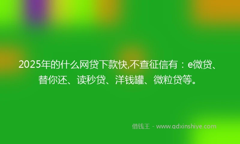 2025年的什么网贷下款快,不查征信有：e微贷、替你还、读秒贷、洋钱罐、微粒贷等。
