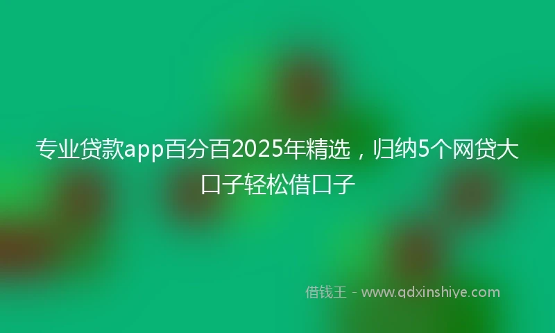 专业贷款app百分百2025年精选，归纳5个网贷大口子轻松借口子
