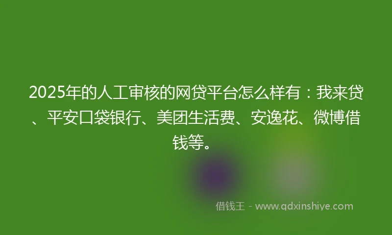 2025年的人工审核的网贷平台怎么样有：我来贷、平安口袋银行、美团生活费、安逸花、微博借钱等。