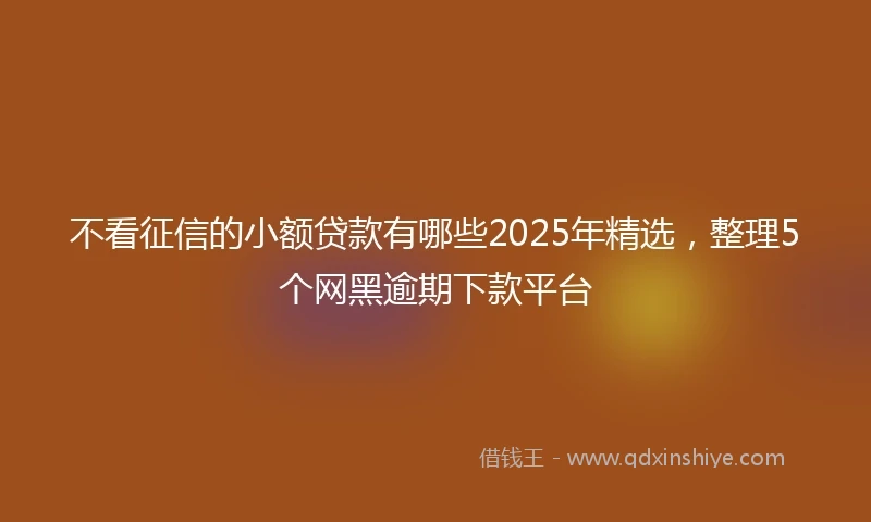 不看征信的小额贷款有哪些2025年精选，整理5个网黑逾期下款平台