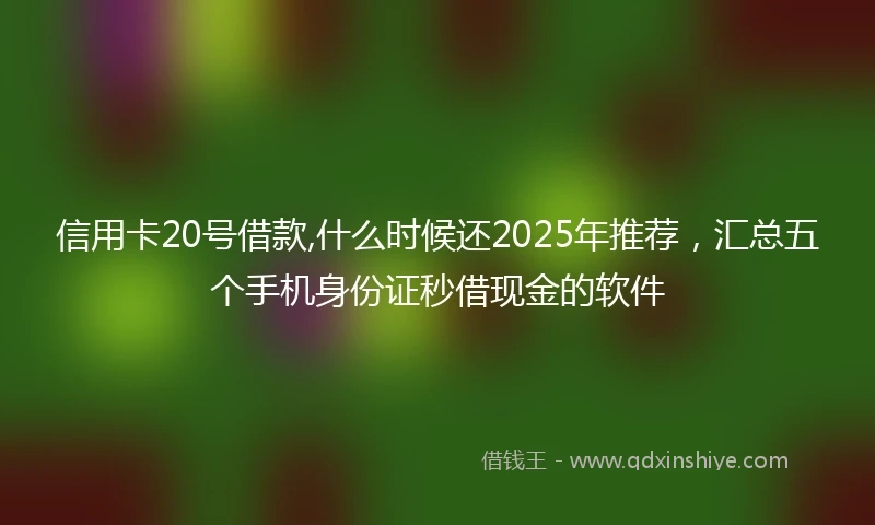 信用卡20号借款,什么时候还2025年推荐，汇总五个手机身份证秒借现金的软件