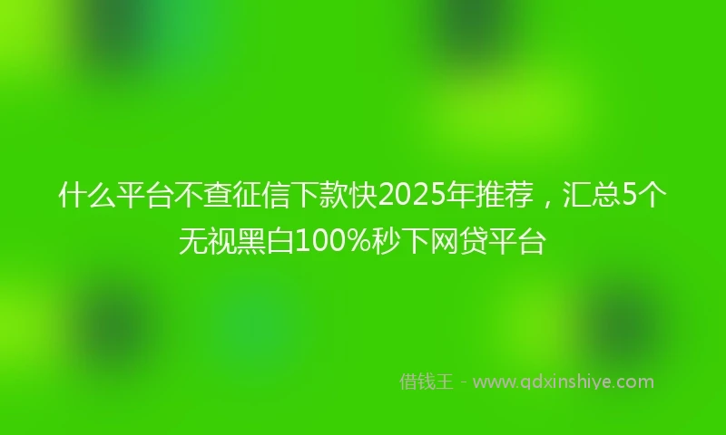 什么平台不查征信下款快2025年推荐，汇总5个无视黑白100%秒下网贷平台