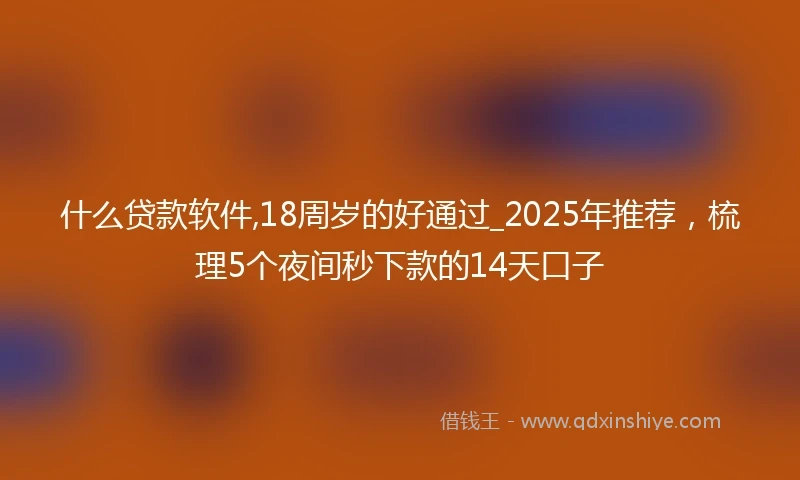 什么贷款软件,18周岁的好通过_2025年推荐，梳理5个夜间秒下款的14天口子