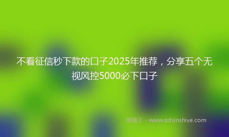 不看征信秒下款的口子2025年推荐，分享五个无视风控5000必下口子