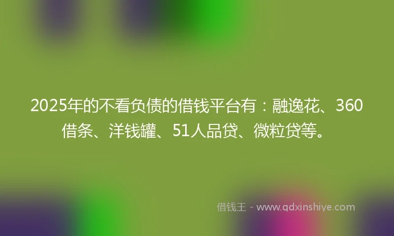 2025年的不看负债的借钱平台有：融逸花、360借条、洋钱罐、51人品贷、微粒贷等。