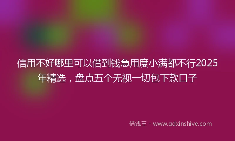 信用不好哪里可以借到钱急用度小满都不行2025年精选，盘点五个无视一切包下款口子