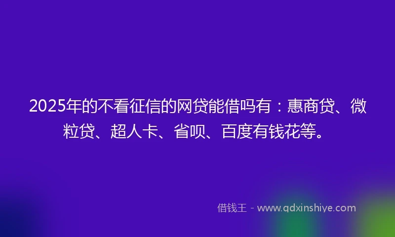 2025年的不看征信的网贷能借吗有：惠商贷、微粒贷、超人卡、省呗、百度有钱花等。