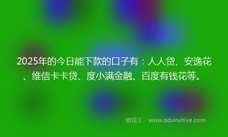 2025年的今日能下款的口子有：人人贷、安逸花、维信卡卡贷、度小满金融、百度有钱花等。