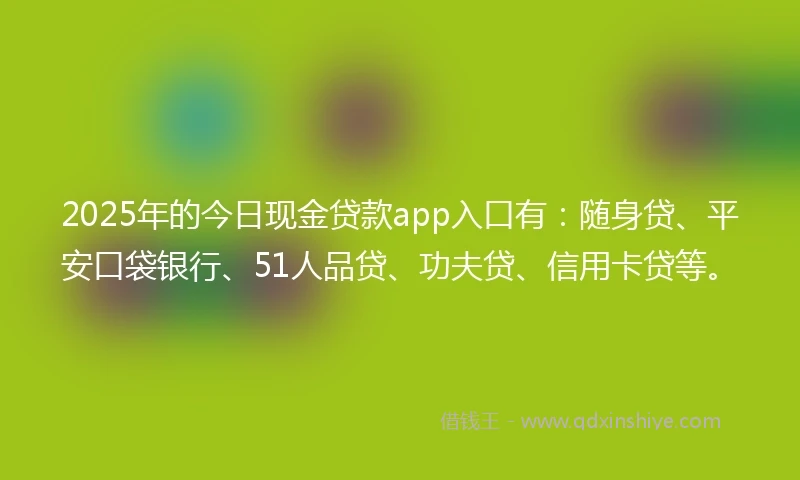 2025年的今日现金贷款app入口有：随身贷、平安口袋银行、51人品贷、功夫贷、信用卡贷等。