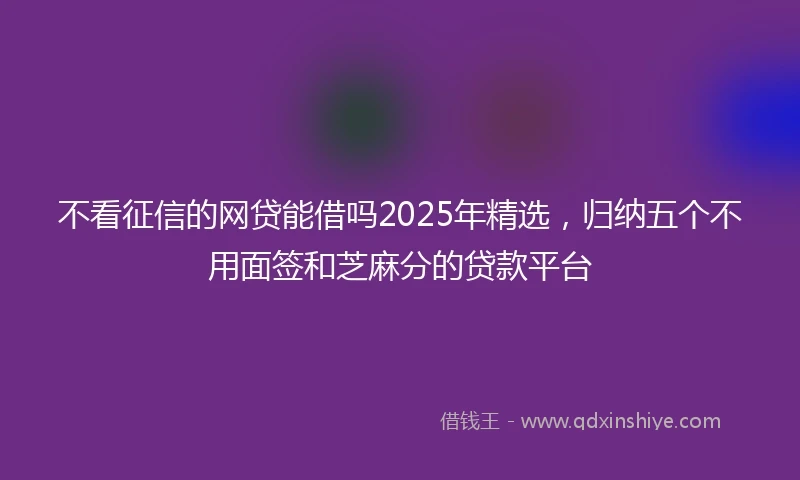 不看征信的网贷能借吗2025年精选，归纳五个不用面签和芝麻分的贷款平台
