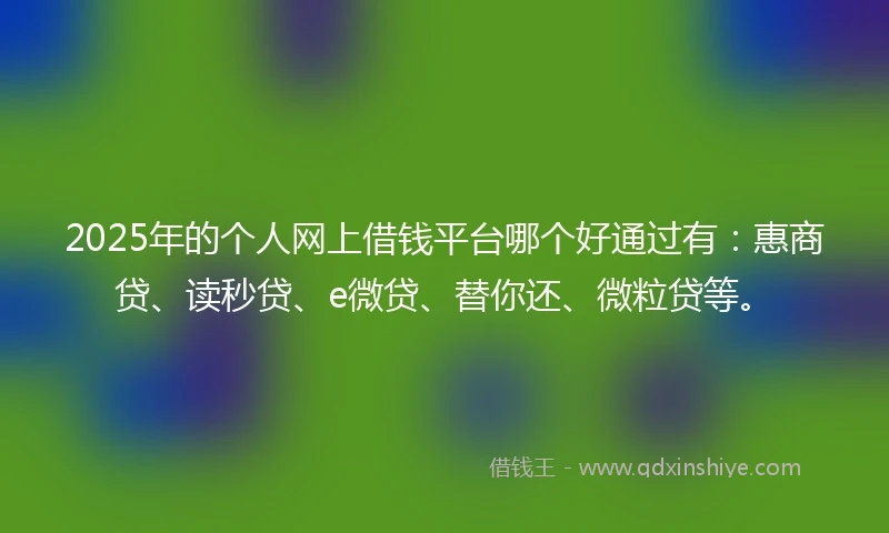 2025年的个人网上借钱平台哪个好通过有：惠商贷、读秒贷、e微贷、替你还、微粒贷等。