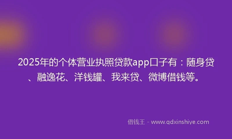 2025年的个体营业执照贷款app口子有：随身贷、融逸花、洋钱罐、我来贷、微博借钱等。