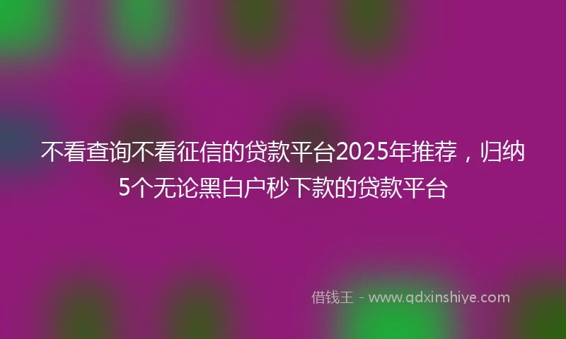 不看查询不看征信的贷款平台2025年推荐，归纳5个无论黑白户秒下款的贷款平台