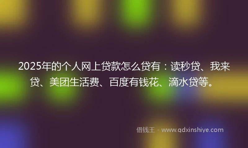 2025年的个人网上贷款怎么贷有：读秒贷、我来贷、美团生活费、百度有钱花、滴水贷等。