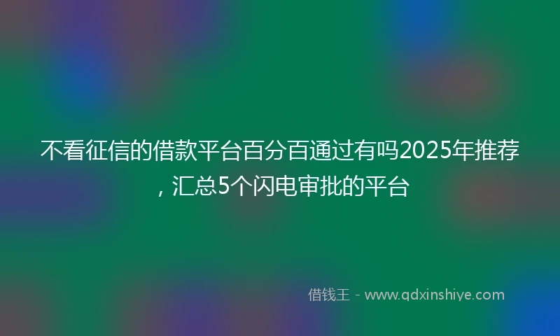 不看征信的借款平台百分百通过有吗2025年推荐，汇总5个闪电审批的平台