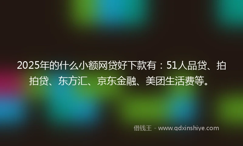 2025年的什么小额网贷好下款有：51人品贷、拍拍贷、东方汇、京东金融、美团生活费等。