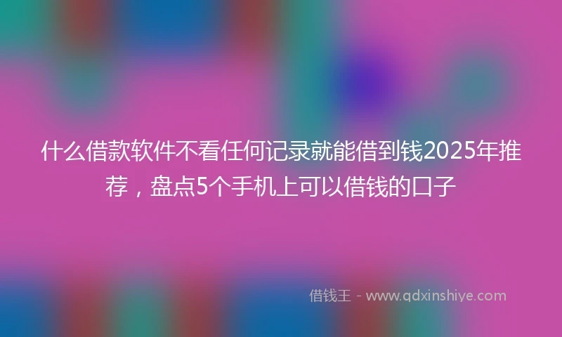 什么借款软件不看任何记录就能借到钱2025年推荐，盘点5个手机上可以借钱的口子