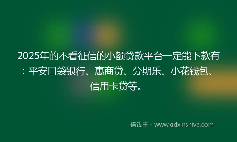 2025年的不看征信的小额贷款平台一定能下款有：平安口袋银行、惠商贷、分期乐、小花钱包、信用卡贷等。