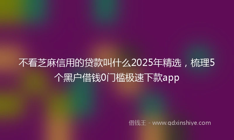 不看芝麻信用的贷款叫什么2025年精选，梳理5个黑户借钱0门槛极速下款app