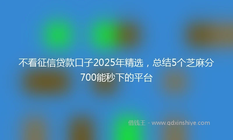 不看征信贷款口子2025年精选，总结5个芝麻分700能秒下的平台