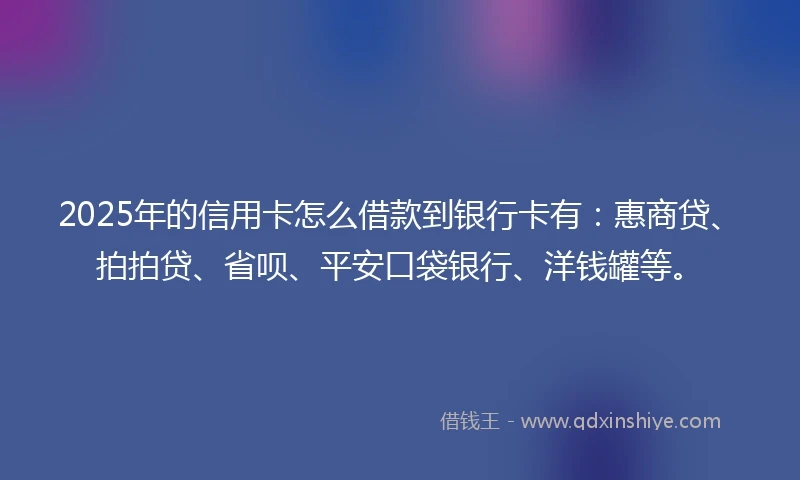 2025年的信用卡怎么借款到银行卡有：惠商贷、拍拍贷、省呗、平安口袋银行、洋钱罐等。