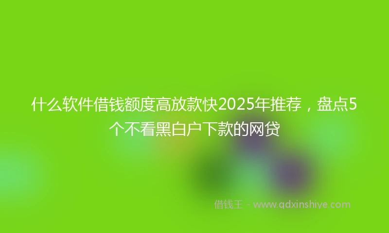 什么软件借钱额度高放款快2025年推荐，盘点5个不看黑白户下款的网贷