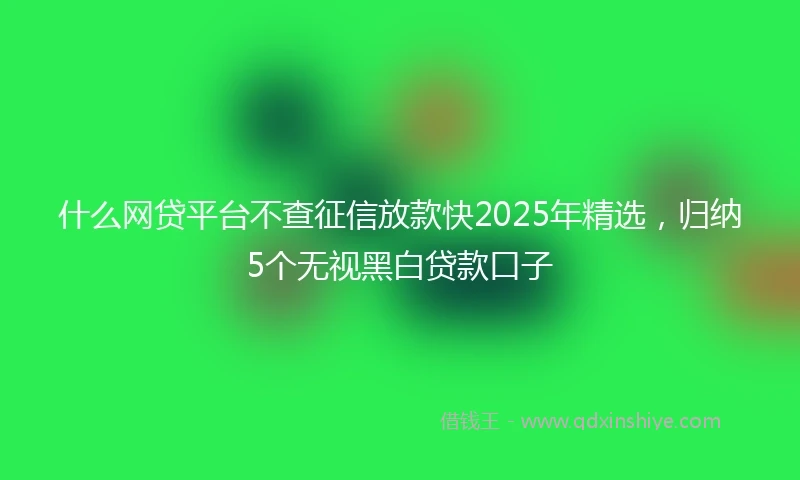什么网贷平台不查征信放款快2025年精选，归纳5个无视黑白贷款口子