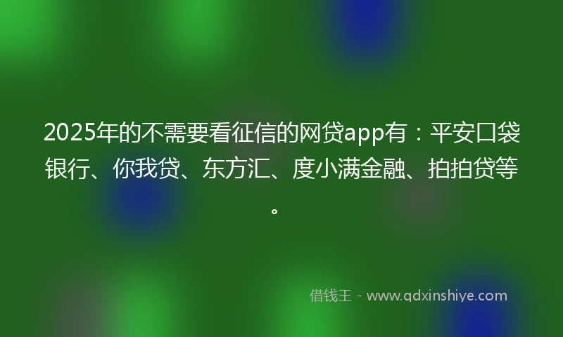 2025年的不需要看征信的网贷app有：平安口袋银行、你我贷、东方汇、度小满金融、拍拍贷等。