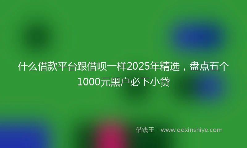 什么借款平台跟借呗一样2025年精选，盘点五个1000元黑户必下小贷