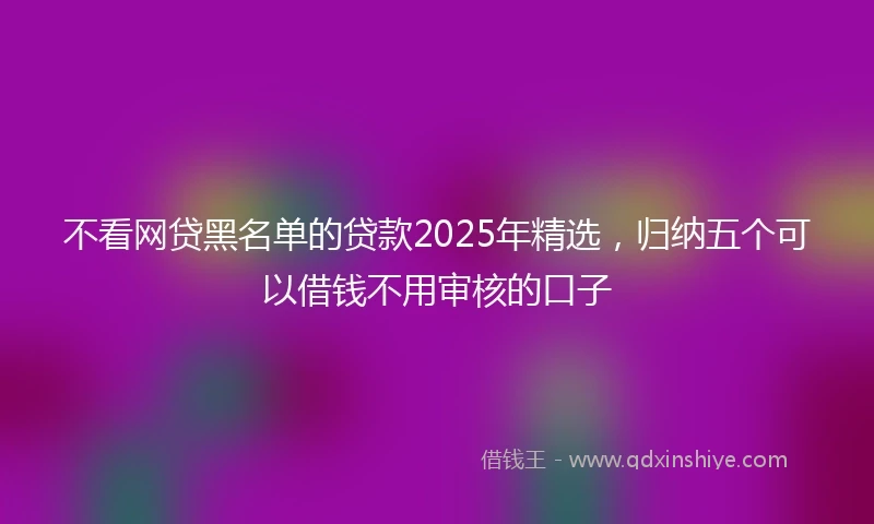 不看网贷黑名单的贷款2025年精选，归纳五个可以借钱不用审核的口子