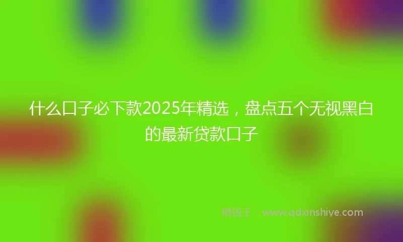 什么口子必下款2025年精选，盘点五个无视黑白的最新贷款口子