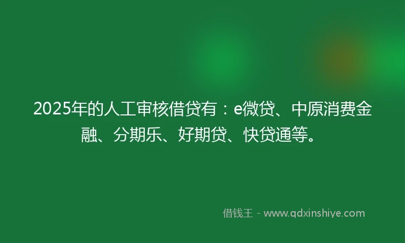 2025年的人工审核借贷有：e微贷、中原消费金融、分期乐、好期贷、快贷通等。
