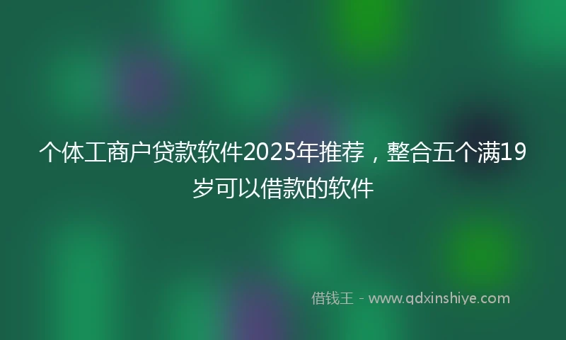 个体工商户贷款软件2025年推荐，整合五个满19岁可以借款的软件