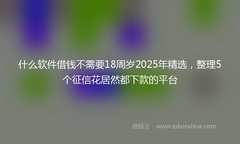 什么软件借钱不需要18周岁2025年精选，整理5个征信花居然都下款的平台