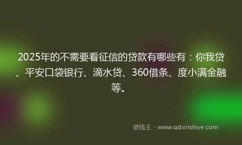 2025年的不需要看征信的贷款有哪些有：你我贷、平安口袋银行、滴水贷、360借条、度小满金融等。