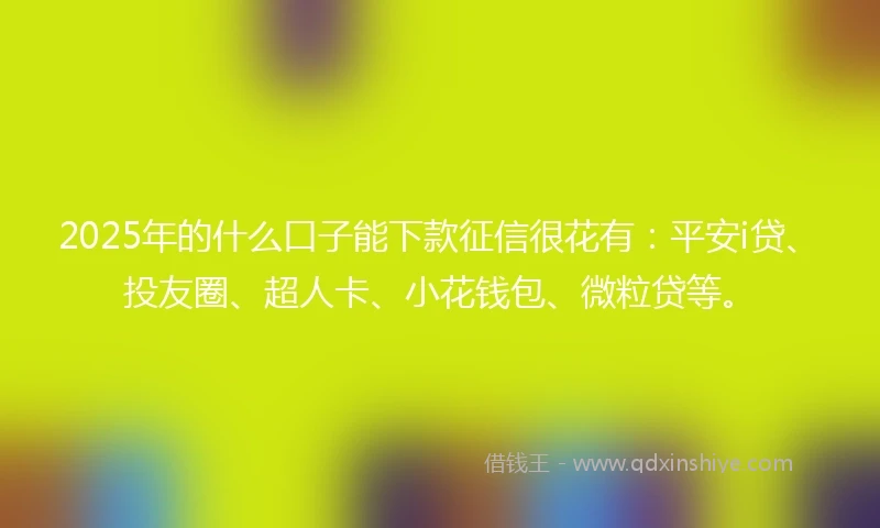 2025年的什么口子能下款征信很花有：平安i贷、投友圈、超人卡、小花钱包、微粒贷等。