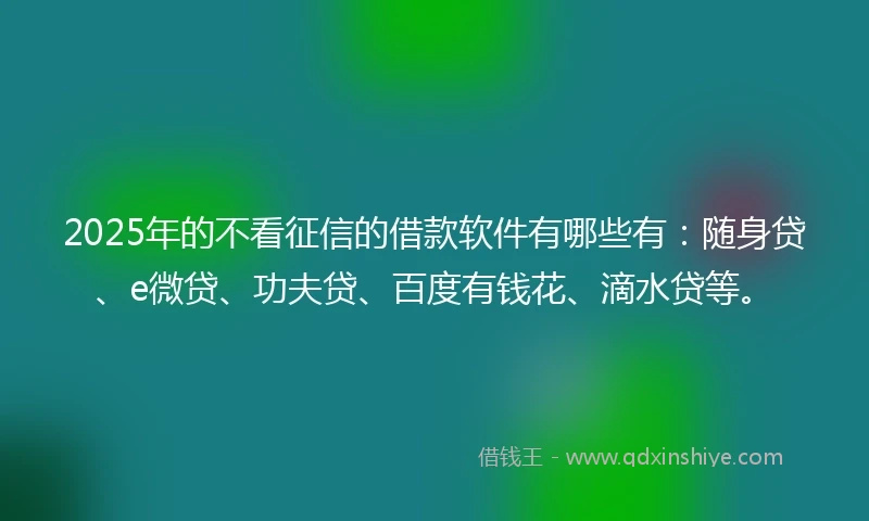 2025年的不看征信的借款软件有哪些有：随身贷、e微贷、功夫贷、百度有钱花、滴水贷等。