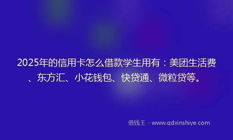2025年的信用卡怎么借款学生用有：美团生活费、东方汇、小花钱包、快贷通、微粒贷等。