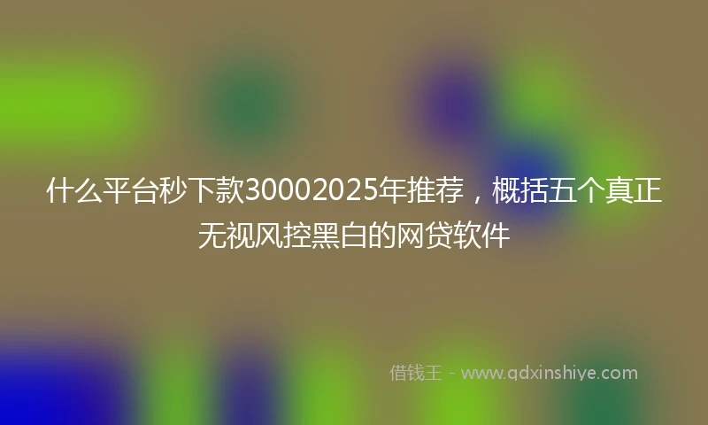 什么平台秒下款30002025年推荐，概括五个真正无视风控黑白的网贷软件