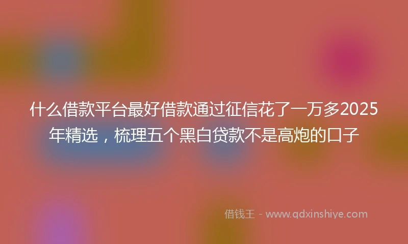 什么借款平台最好借款通过征信花了一万多2025年精选，梳理五个黑白贷款不是高炮的口子