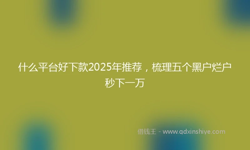 什么平台好下款2025年推荐，梳理五个黑户烂户秒下一万