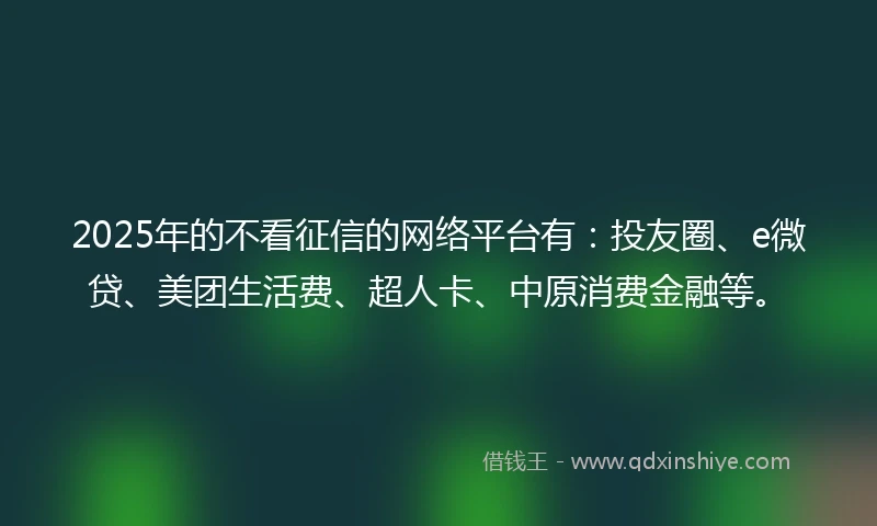 2025年的不看征信的网络平台有：投友圈、e微贷、美团生活费、超人卡、中原消费金融等。