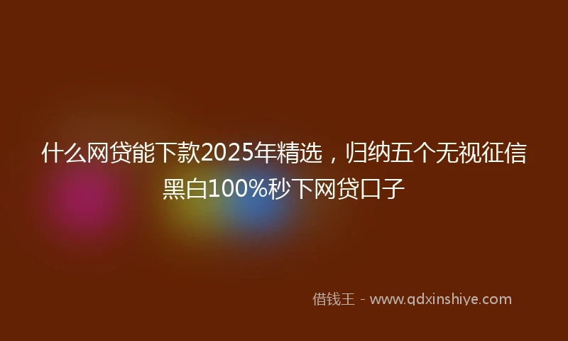 什么网贷能下款2025年精选，归纳五个无视征信黑白100%秒下网贷口子