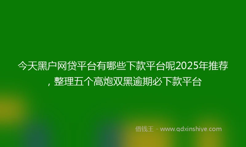 今天黑户网贷平台有哪些下款平台呢2025年推荐，整理五个高炮双黑逾期必下款平台