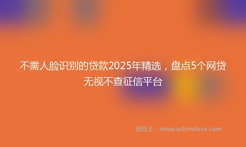 不需人脸识别的贷款2025年精选，盘点5个网贷无视不查征信平台